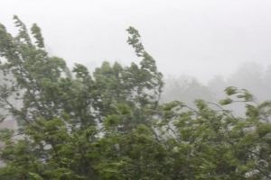 Cod galben de vânt puternic în Oltenia şi alte regiuni. Rafale de până la 120 km/h