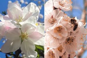 #ConstantaEsteBine: 7 aprilie 2026. Radiatiile solare din ultimele zile vin insotite de caldura si vreme insorita