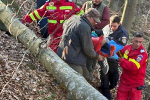 Intervenţie a salvatorilor într-o zonă forestieră greu accesibilă, la Târlişua