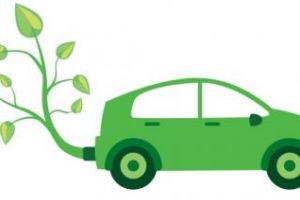 Biodiesel din porumb - inovaţie pe piaţa agricolă