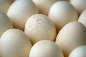 UCPR: Industria avicola asigura necesarul de oua de Paste, in ciuda cererii crescute si a preturilor stabile la poarta fermei