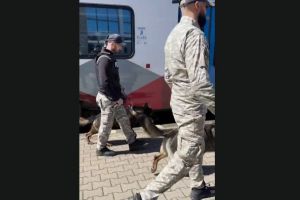 Actiune ampla a politiei in gari si trenuri din Constanta. Amenzi de peste 5.000 de lei pentru nereguli