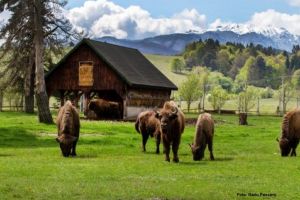 Destinaţia Anului 2026, în etapa votului public: Judeţul Braşov, 15 nominalizări în competiţie