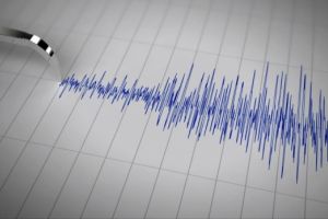 Cutremur in Romania, in zona seismica Vrancea. Ce magnitudine a avut