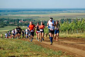 Alergare cu aromă de vin. Competiţia de la Petrovaselo ajunge la ediţia a XI-a