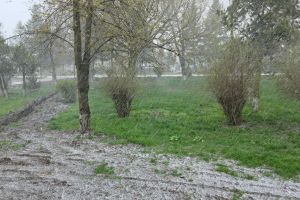 FOTO „Zăpada mieilor” la Botoşani. A nins, astăzi, în mai multe zone ale judeţului
