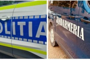 Politistii si jandarmii din Tulcea au aplicat amenzi in valoare totala aproximativa de 9.000 lei