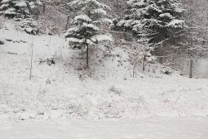 Ninge ca în plină iarnă, în aprilie. Cod portocaliu de viscol la munte