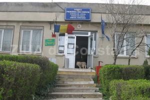 Cumparare Directa Constanta: Primaria Comunei Ion Corvin, judetul Constanta, un nou contract cu Lulu  Ianna SRL (DOCUMENT) 