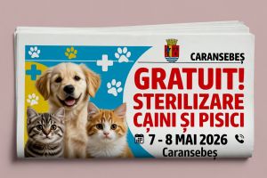 Campanie gratuită de sterilizare a câinilor şi pisicilor la Caransebeş