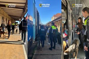 FOTO. Razie în trenuri şi pe şosele, la Satu Mare: zeci de persoane verificate de poliţişti şi mai multe amenzi