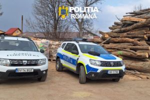 Amenzi în valoare de 46.000 de lei şi peste 220 de metri cubi de lemn confiscat. Acţiuni în domeniul silvic ale Poliţiei Braşov