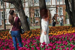 „Calcă în picioare florile fără pic de respect”. Lalelele din Parcul Justiţiei, distruse pentru fotografii