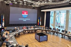 Consiliul Judeţean Timiş aprobă construirea unui nou pod pe DJ 609A, la Ghizela