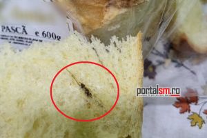 FOTO. ,,Surpriza” găsită de o sătmăreancă într-o pască cumpărată de la brutărie. A crezut că e nucă sau mac, dar era… un gândac