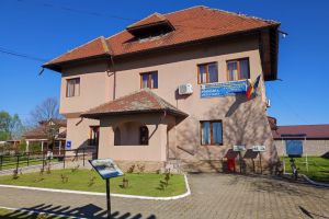 Primăria Drăguţeşti angajează şofer. Concurs în luna mai