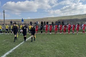 Meci cu scântei la Botoşani! Un arbitru a fost lovit de un suporter cu un obiect