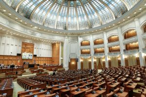Părinţii copiilor cu autism şi sindromul Down vor primi sprijin de la stat. Decizia adoptată de Parlament
