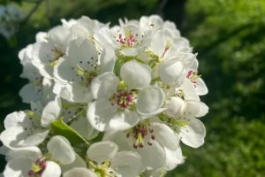 #ConstantaEsteBine: 9 aprilie 2026 Joia mare, inainte de Sarbatorile Pascale