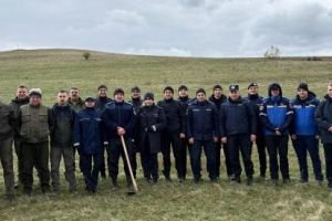 Puieţi forestieri plantaţi de jandarmi şi angajaţi ai DS Covasna, în zona localităţii Araci