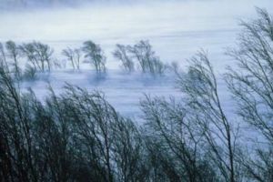 Vreme de iarnă în aprilie: vânt puternic, ninsori şi temperaturi neobişnuit de scăzute