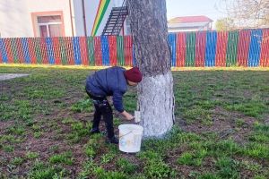 Curăţenia de primăvară a început la Garoafa: apel la responsabilitate şi implicare comunitară