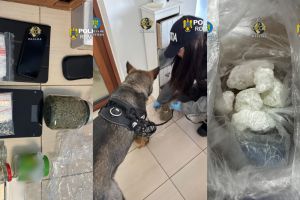 FOTOGALERIE. Operaţiune antidrog: „Cristal” şi canabis, vândute în Satu Mare. Percheziţii şi arestări