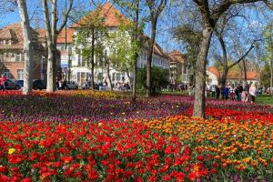 Timişoara, în topul ospitalităţii. 14 nominalizări la competiţii naţionale de turism