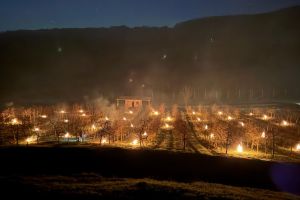 Pomicultorii au aprins focuri în livezi să protejeze pomii de îngheţ