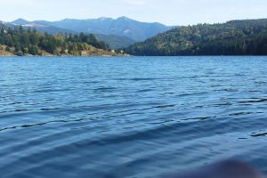 Pescuitul, interzis în această perioadă. Reguli pentru acumularea Colibiţa