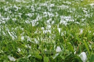 Frig neobişnuit în Vinerea Mare: ploi, lapoviţă şi temperaturi sub normalul perioadei