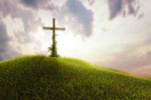 Deputatul Mihai Fifor vă urează SĂRBĂTORI FERICITE!