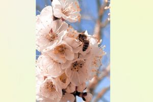 #ConstantaEsteBine: 10 aprilie 2026. Vinerea Mare. Ne acordam la frecventa de vibratie dincolo de povestea oficiala 