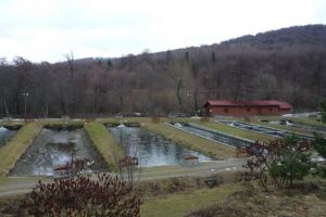 6 captări de apă ilegale şi 6 păstrăvării care funcţionau fără autorizaţie, descoperite la Hârseni