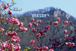 Pleci în minivacanţa de 1 Mai? ANM a publicat prognoza meteo
