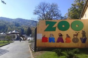 Grădina Zoologică Braşov, deschisă de Paşte