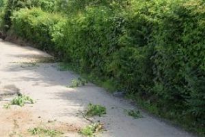 “Dorel” revine. Acum e pe Valea Borcutului. Daca nu strica si pe acolo ceva, nu e sanatos