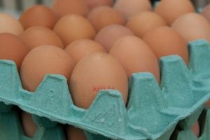 Alertă sanitară: 1,5 milioane de ouă cu Salmonella au fost oprite să ajungă în magazine