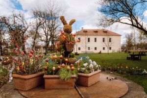 FOTO: Atmosferă de primăvară în Cetatea Medievală Târgu Mureş