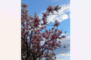 #ConstantaEsteBine: 13 aprilie 2026. Corpul nu stie exact cum sa se ajusteze si ficatul munceste intens 