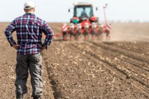 Fermierii avertizează! România riscă să piardă 3 milioane de hectare de teren agricol şi să intre în criză de alimente