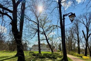 Parcul Regal Săvârşin, înflorit la început de primăvară. Când se redeschide domeniul