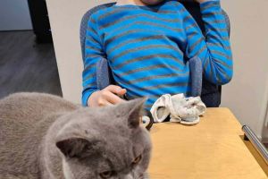 Apel umanitar pentru Rareş. Comunitatea din Timişoara se mobilizează pentru un copil greu încercat