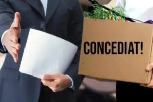 Industria auto şi chimică, afectate de scumpiri: se anunţă concedieri în lanţ