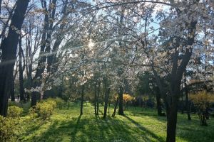 #ConstantaEsteBine: 14 aprilie 2026 O alta zi de mijloc a lunii aprilie, primavara capricioasa, cu vanturi reci si precipitatii neobisnuite