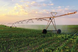 ANIF a dat startul campaniei de irigatii in judetul Constanta: 4.700 de hectare deservite in zonele Poarta Alba si Ovidiu