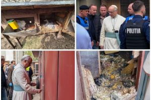 Abaţia ororilor: zeci de animale moarte, descoperite la evacuarea abatelui Fejes, şeful Ordinului Premonstratens, din clădirea Colegiului Eminescu (FOTO)