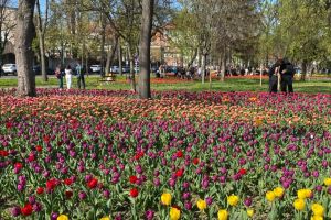 Ce facem astăzi, 15 aprilie 2026, în Timişoara?