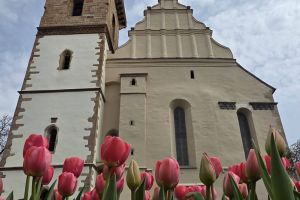 ”Bistriţa – Cetatea florilor prinde culoare, zi de zi, în fiecare colţ al oraşului”