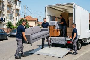 Firme de mutări în Gorj: soluţii locale pentru transport mobilă fără stres